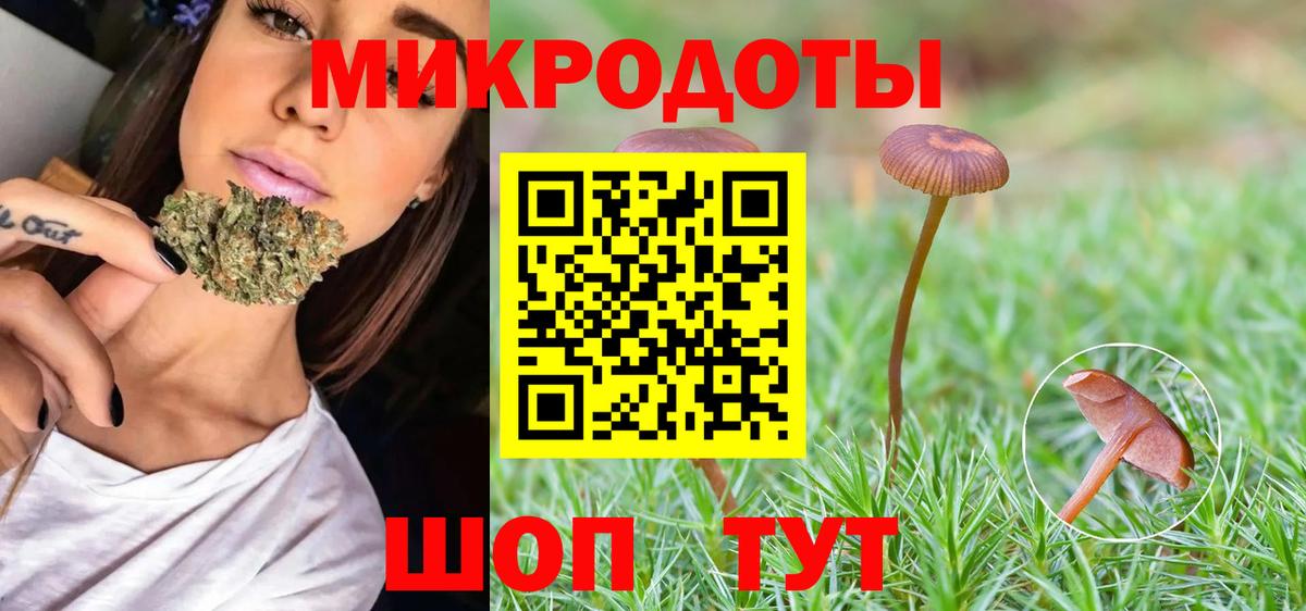 Галлюциногенные грибы MAGIC MUSHROOMS  Вход с VPN  купить закладку  Псилоцибиновые грибы Psilocybe  Черкесск 